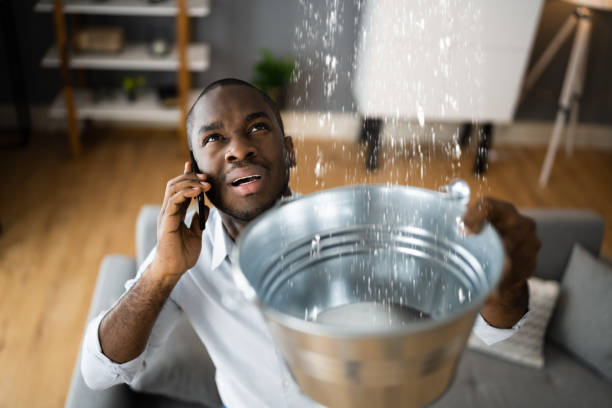 Best Emergency water damage restoration  in Glendive, MT