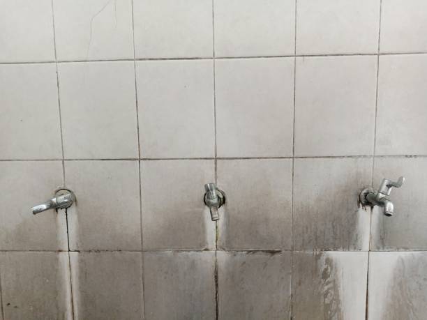 Best Water damage restoration mold remediation  in Glendive, MT