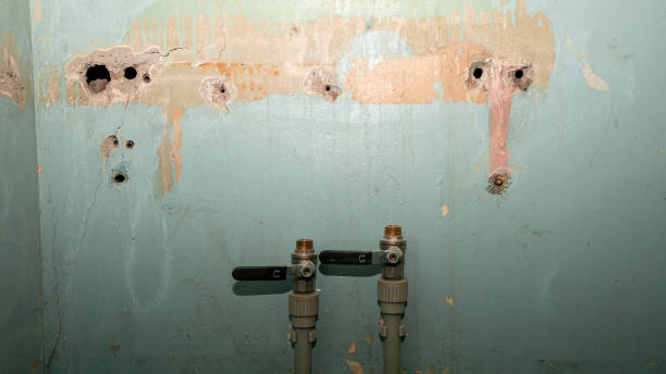 Best Commercial water damage restoration  in Glendive, MT