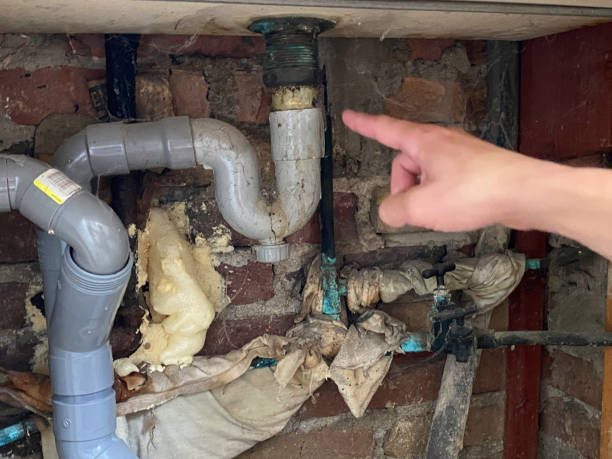  Glendive, MT Water damage restoration Pros