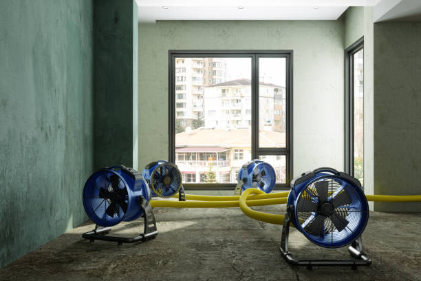 Best Water damage cleanup near me  in Glendive, MT